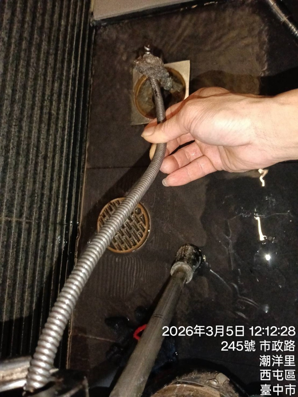 �x����ٰϳq����